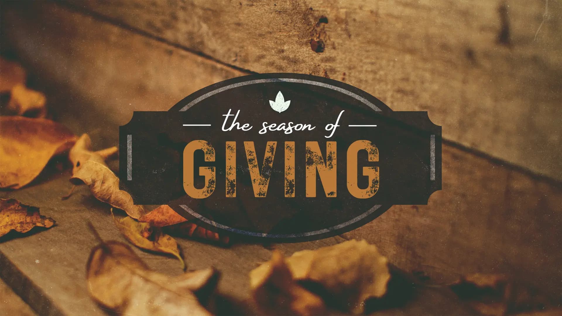 The Season of Giving